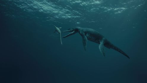 第08集 海洋巨兽：沧龙大战薄片龙