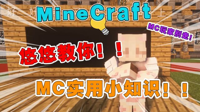 【MC实用小知识】