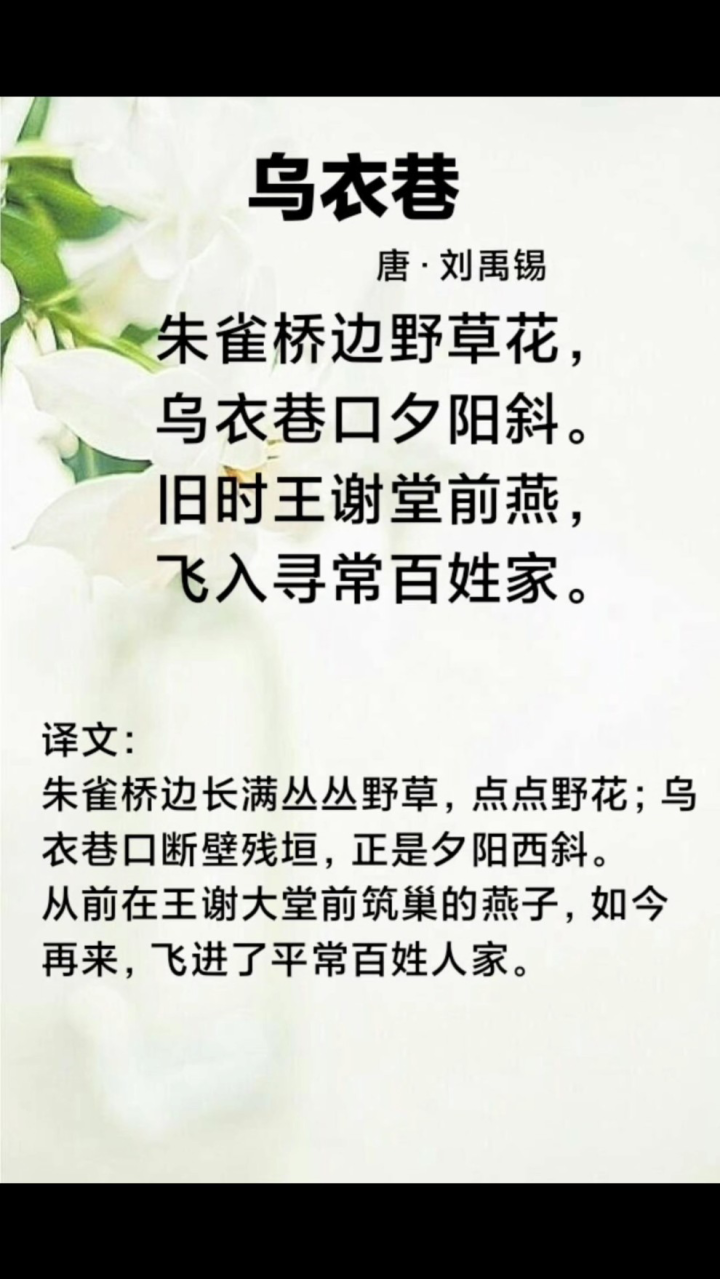 旧时王谢堂前燕,飞入寻常百姓家_高清1080P在线观看平台_腾讯视频