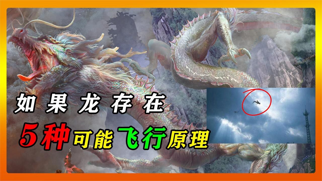 如果中国龙真的存在，是如何飞行的？共5种可能性深度分析！_腾讯视频
