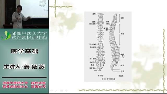 营养师全套教程 2. 医学基础4