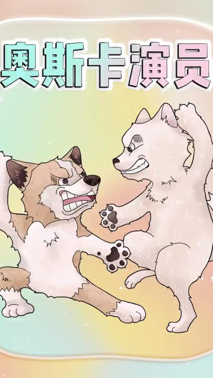 小黄狗：虽然大家都是狗，可你是真的狗！_高清1080P在线观看平台_腾讯视频