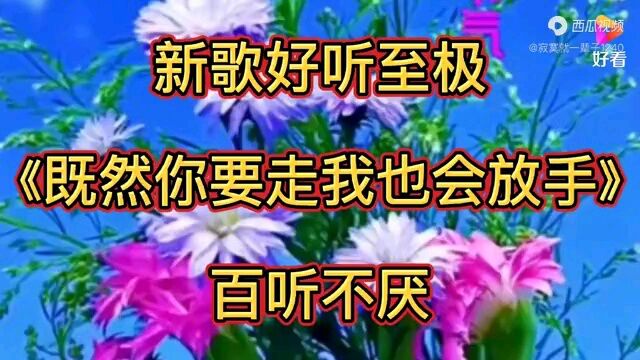 既然你要走我也会放手