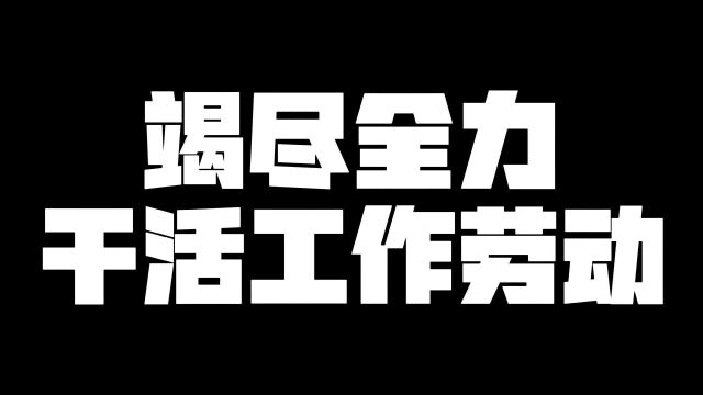 竭尽全力干货工作自律