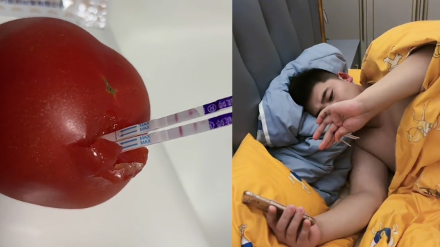 女子用验孕棒测试西红柿,拿给老公看被吓得不轻:西红柿怀孕了?
