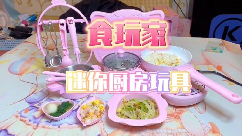 活石 迷你厨房真煮套装玩具 可真做饭做菜厨房玩具 食玩家