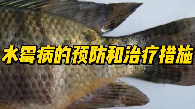 水霉病的预防和治疗措施