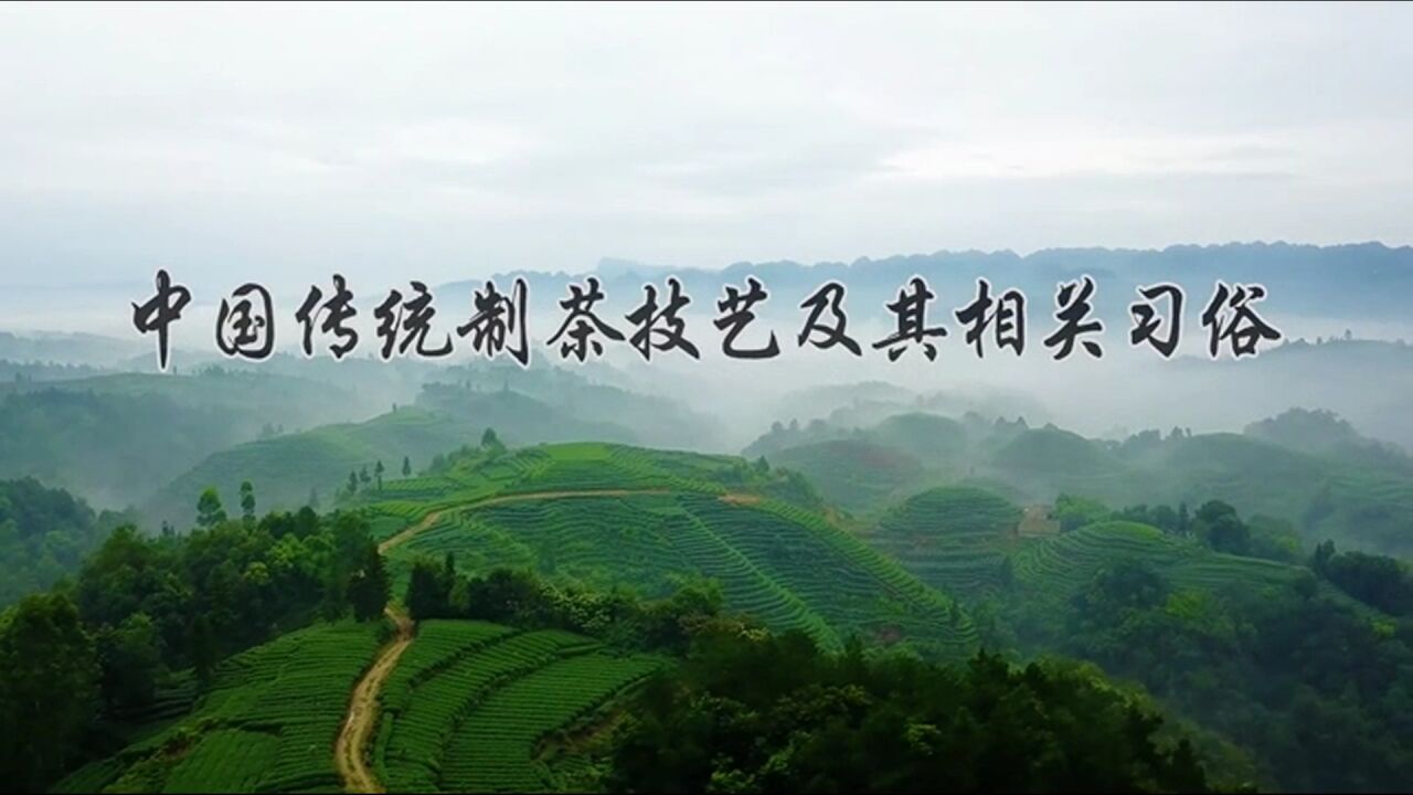 中国传统制茶技艺及其相关习俗_高清1080P在线观看平台_腾讯视频
