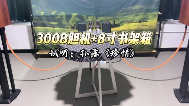 300b胆机试音孙露《珍惜》,声音美妙动人,音质清澈通透!