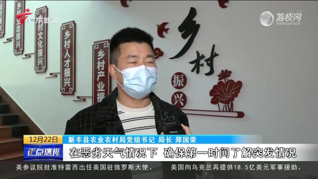 韶关新丰:蔬菜产业园冬至忙育苗 科技助力稳产保供