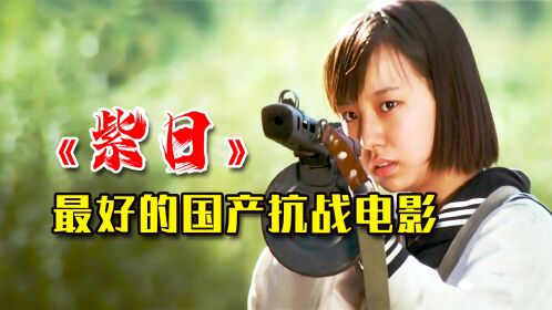 为什么中国不再拍摄像《紫日》这样优秀的抗战电影了,谁能说说?