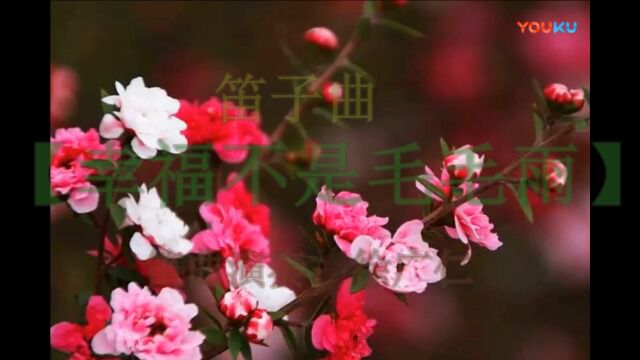 笛子曲【幸福不是毛毛雨】bE5调