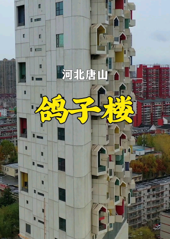 竟然和鸟巢出自同一位设计师,然而一般人却买不起,被网友称为鸽子楼!