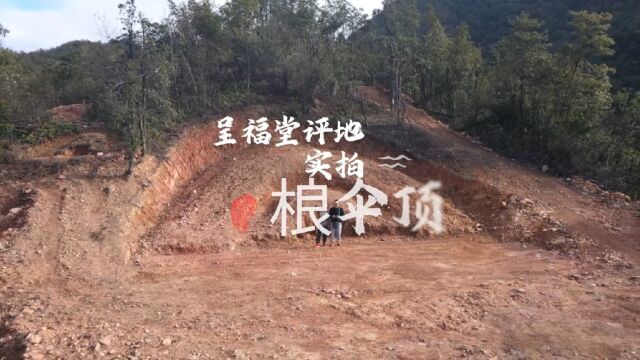 呈福堂团队桹伞山评地实拍,占地300平,有人说开太大了