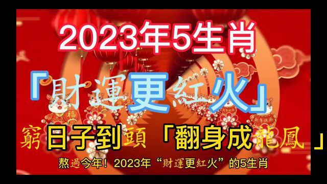 2323年五大生肖,翻身成龙凤