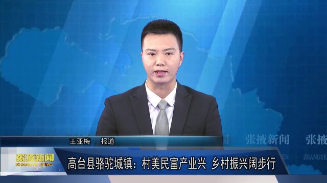 【视频】党组织书记专访 | 高台县骆驼城镇:村美民富产业兴 乡村振兴阔步行