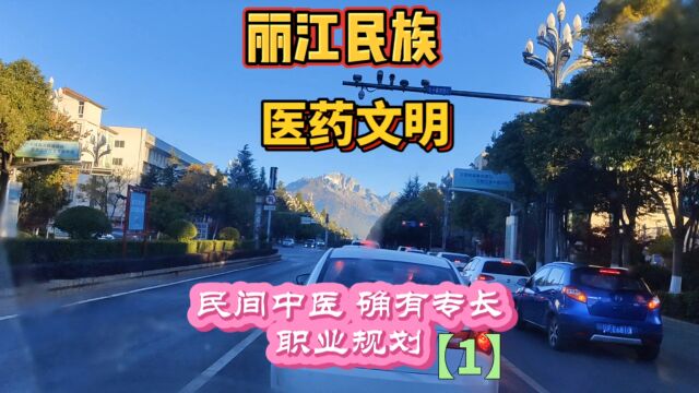 刘建勤:丽江民族医药文明 3 (1)