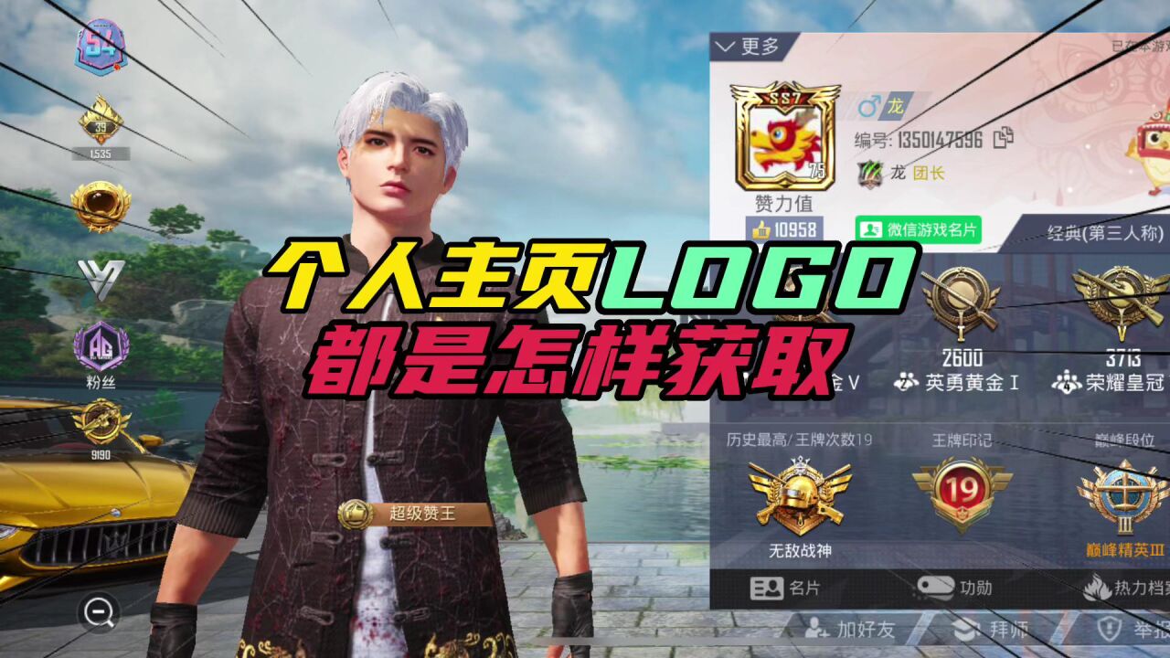 和平精英:个人主页logo,都是怎样获取?