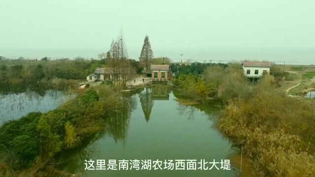 #记录家乡美景 南湾湖农场北大堤!