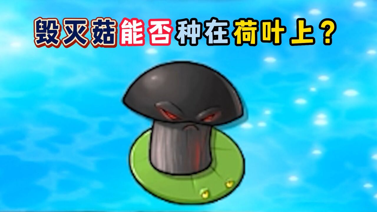 在原版植物大战僵尸,毁灭菇能否种在荷叶上?