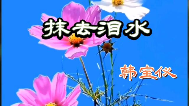 韩宝仪原唱《抹去泪水》怀念老歌,回味无穷