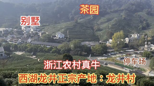 浙江农村不愧是全国模范,实拍西湖龙井原产地杭州龙井村,真富裕