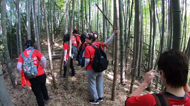 户外运动 上海周边最美森林 上清古道5 上海快乐徒步爬山户外