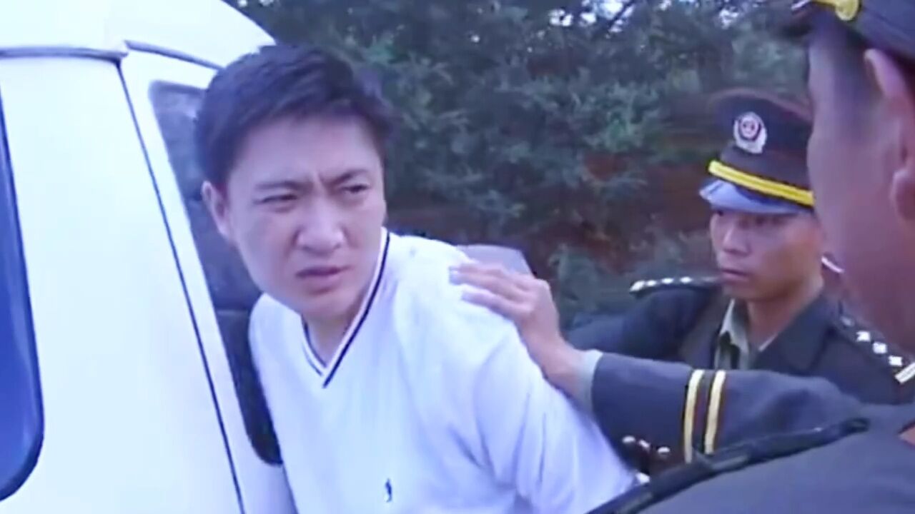 检查官was押送罪犯竟被假警察拦住_高清1080P在线观看平台_腾讯视频