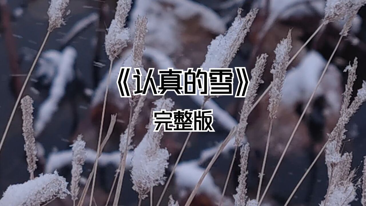 冬之记忆,雪之歌_《雪龙吟》完整版_高清1080P在线观看平台_腾讯视频