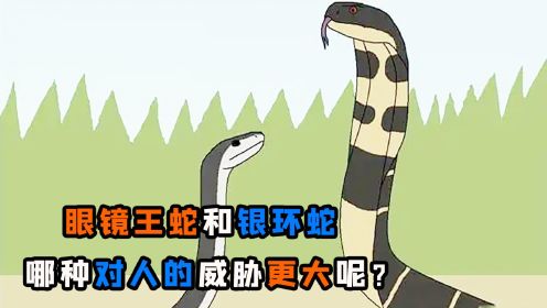 眼镜王蛇和银环蛇，哪一种对人威胁更大？看完你就明白了