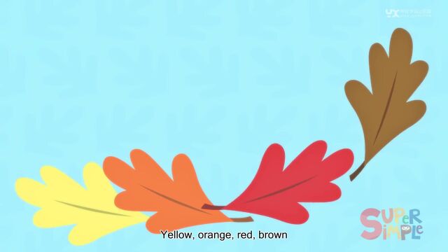 十里铺孙丽荣跟我唱吧 Why Do Leaves Change Color