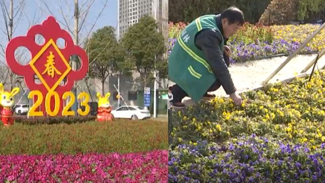 年味浓!雨花区130万盆鲜花扮靓城市喜迎春节