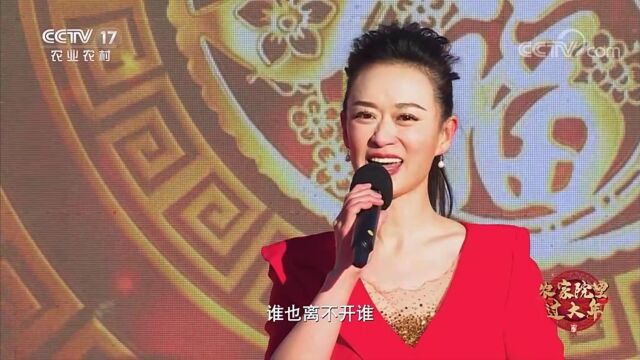 袁慧婷演唱歌曲《母亲是中华》CCTV172023农家院里过大年