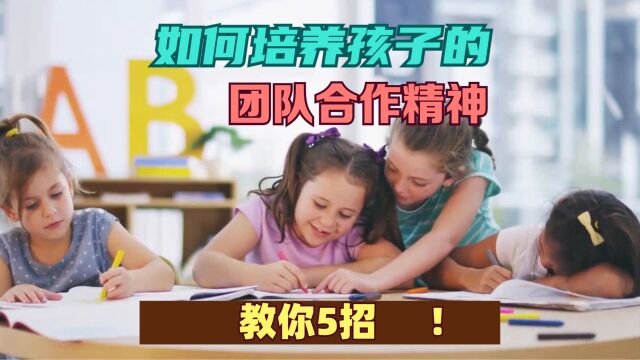 如何培养孩子的团队合作精神?教你5招!