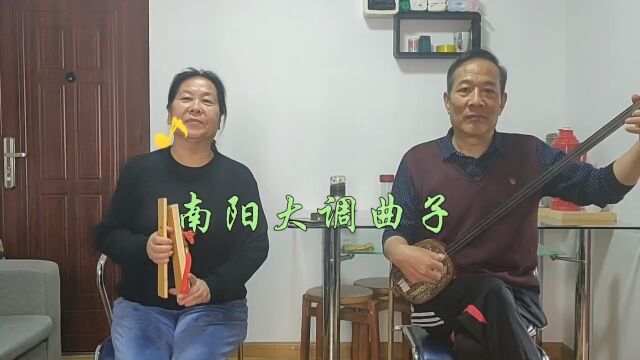 南阳大的曲子《黛玉悲秋》,国家非遗,理应传承.