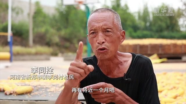 中国故事丨裴李岗:一个万年村庄的丰收图景