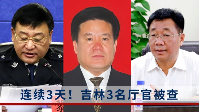 连续3天!吉林3名厅官被查:被查时均已不在任上