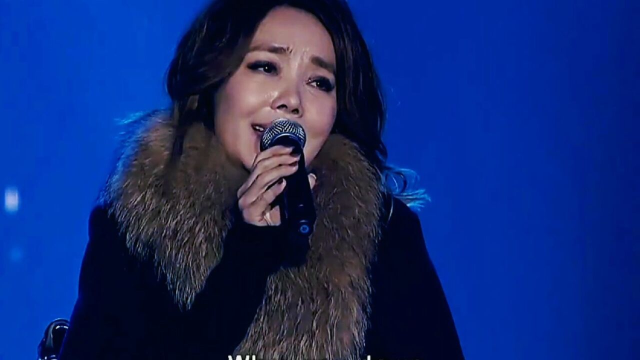 辛晓琪经典音乐俩俩相忘