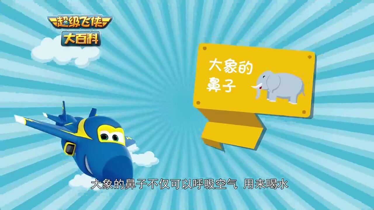 超级飞侠大百科25：大象的鼻子有什么作用？听听超级飞侠酷飞怎么说_高清1080P在线观看平台_腾讯视频