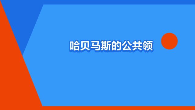 “哈贝马斯的公共领域理论”是什么意思?