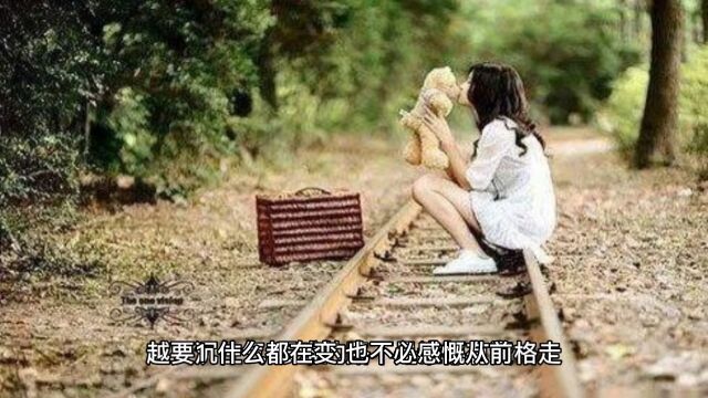 情感语录