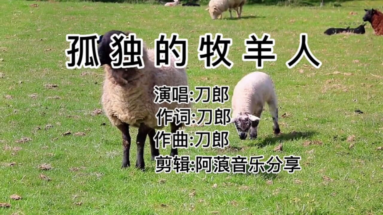 刀郎牧羊人图片
