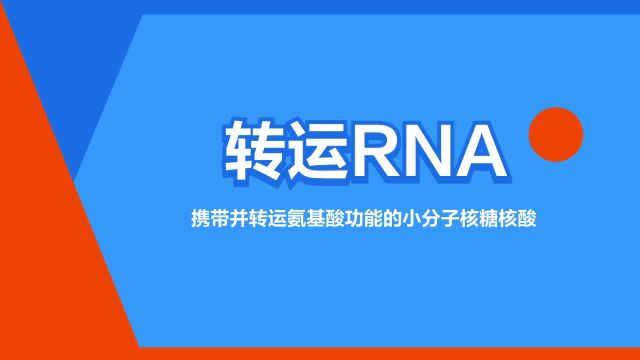 “转运RNA”是什么意思?