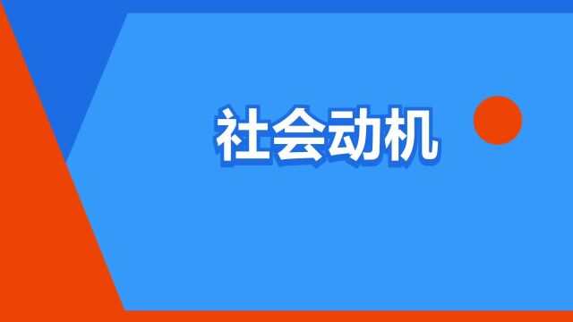 “社会动机”是什么意思?