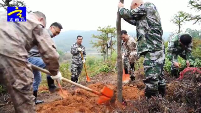 定南组织开展义务植树活动 为生态定南添绿