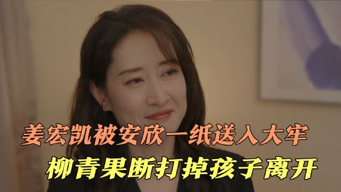 姜宏凯被安欣一纸送入大牢，柳青果断打掉孩子离开，结局大快人心