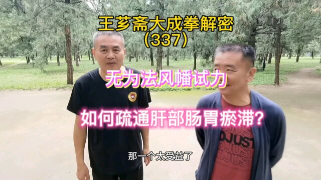 第337集|无为法风幡试力疏通肝部肠胃淤滞居然很简单?