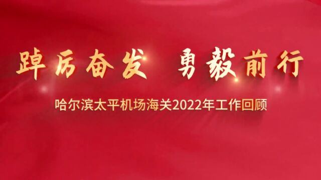 2022年哈尔滨太平机场海关工作总结视频