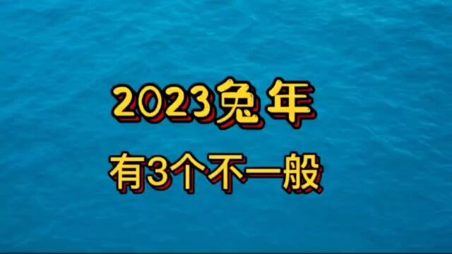 2023年兔年有三个不一般