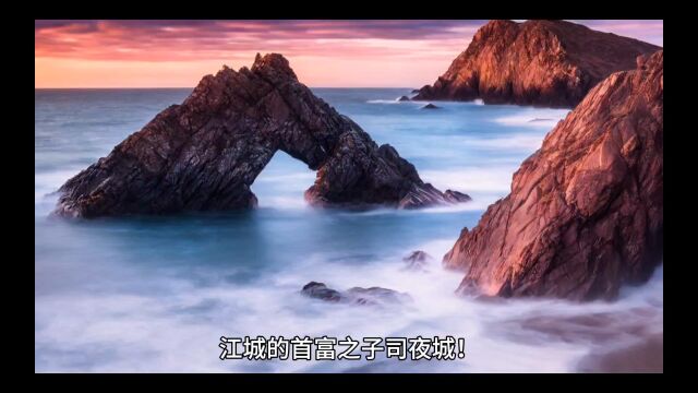 《满级甜诱!顶级大佬为她沉沦》苏倾司夜城小说全文【完结无弹窗】